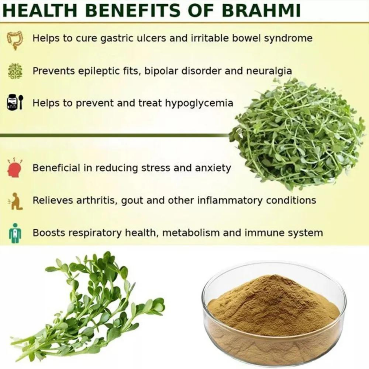 Organic Brahmi Powder - Bacopa Monnieri for Memory, Focus, and Hair Health