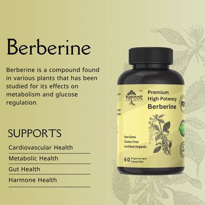 Organic Berberine HCL Extract 500mg - 60 Capsules for Blood Sugar Support