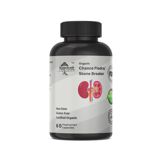 Chanca Piedra 500 mg 60 Capsules | Supports Healthy Liver & Kidney, Stone Breaker