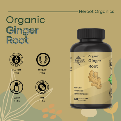 Organic Ginger Root 400mg (Zingiber Officinale) - Digestive Support & Relief from Stomach Ache