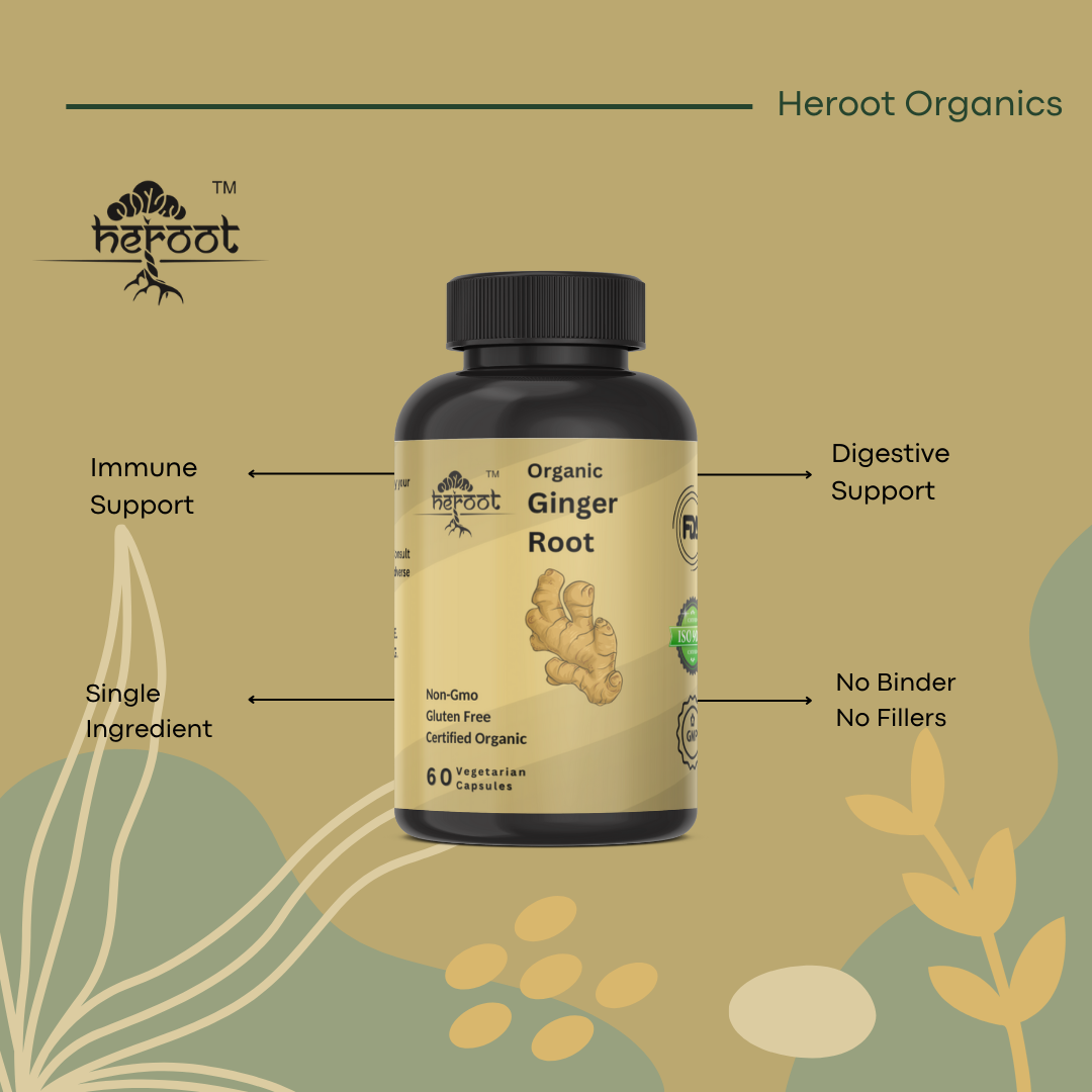 Organic Ginger Root 400mg (Zingiber Officinale) - Digestive Support & Relief from Stomach Ache