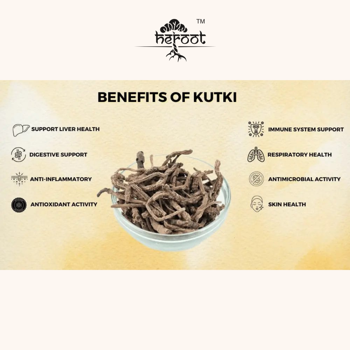 Kutki Powder (Picrorhiza Kurroa) - Natural Liver Support & Digestive Health