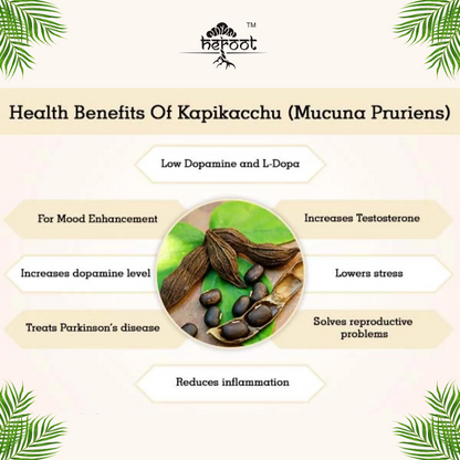 PURE L-DOPA Mucuna Pruriens 400 mg 60 Capsules strengthens organs USDA