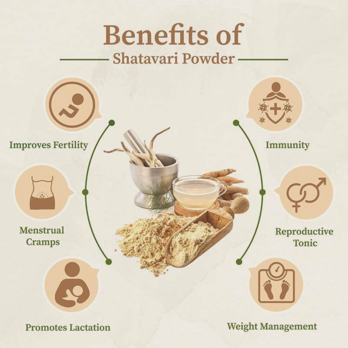 Organic Shatavari Root Powder (Asparagus Racemosus) - Supports Digestive Health