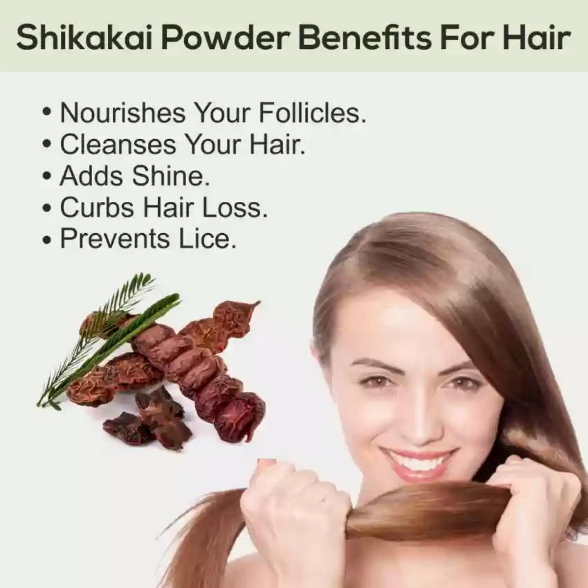 Certified Organic Shikakai Powder (Acacia Concinna) - Natural Hair Cleanser, USDA Approved