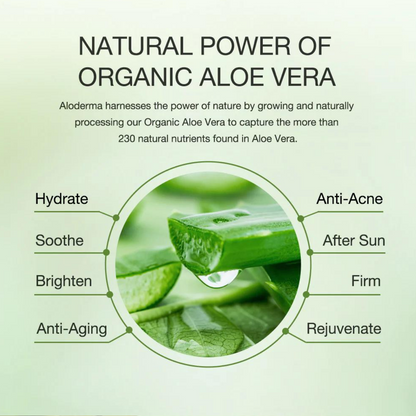 Aloe Vera Powder - Natural Leaf Powder for Reducing Dandruff and Conditioning Hair