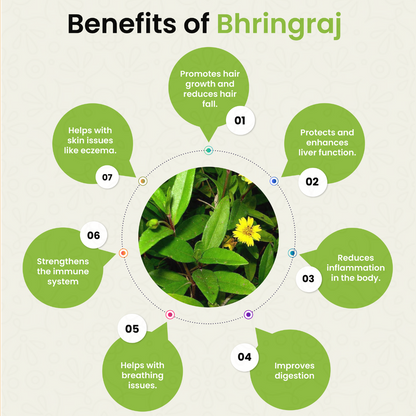 Organic Bhringraj Powder (Eclipta Alba) for Healthy Hair Growth