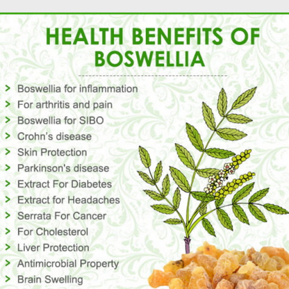 Heroot Boswellia Serrata 75% Extract Powder | Supports Healthy Joint Mobility