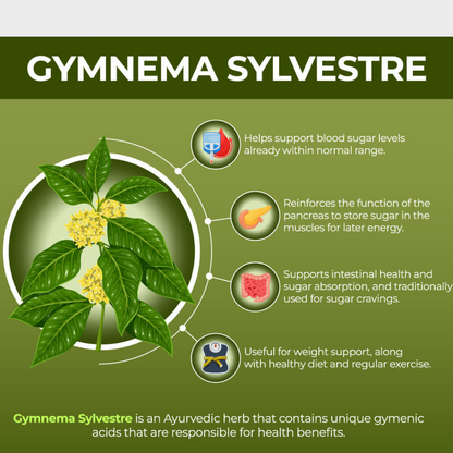 Gymnema Sylvestre Leaf Powder | Non-GMO, Raw, Natural & Fresh for Weight Loss Control