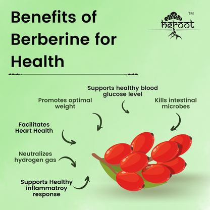 Premium Berberine HCL 98% Extract Powder - Berberis for Blood Glucose and Sugar Control